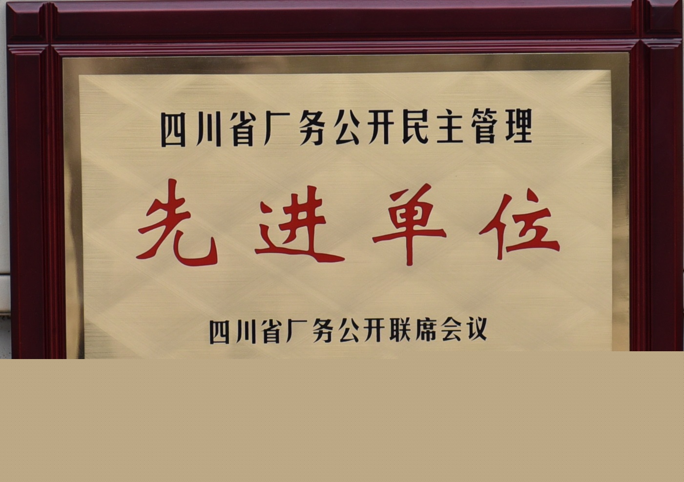 四川省廠務(wù)公開民主管理先進單位